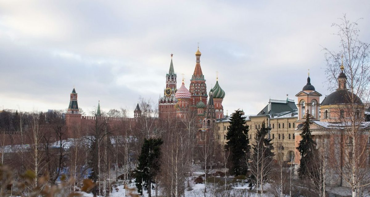 Московские деревья могут встретить декабрь с зелёными листьями из-за тёплой осени